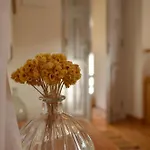 Maison Des Clementines