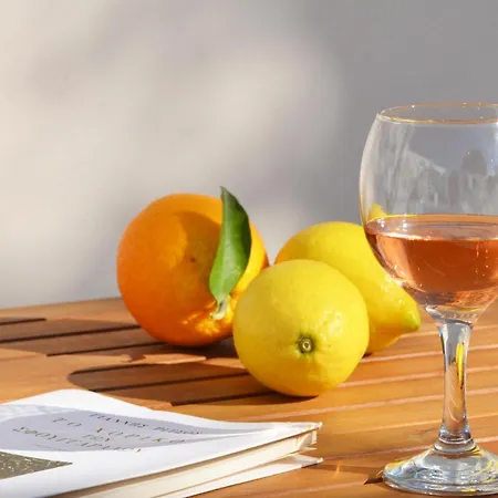 Holiday home Maison Des Clementines Vathis