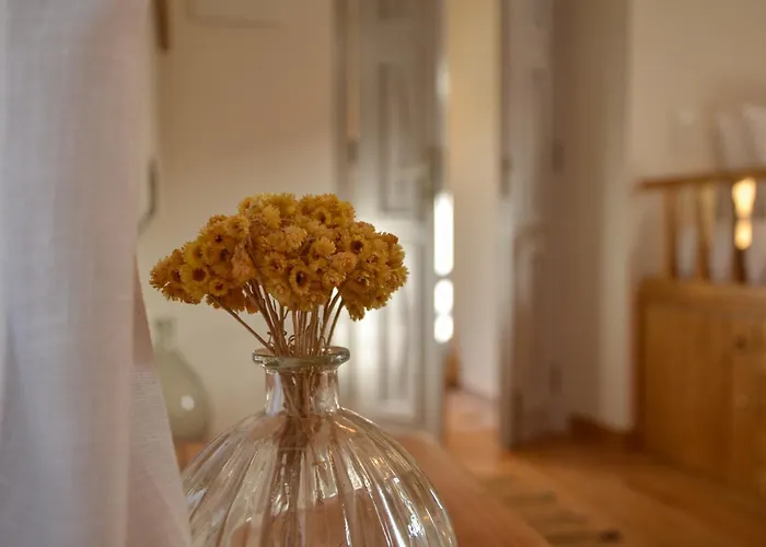 Maison Des Clementines