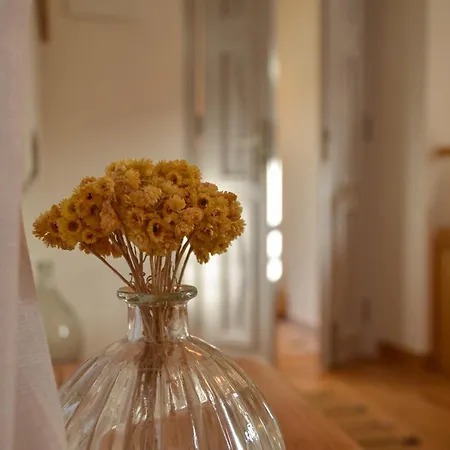 Maison Des Clementines