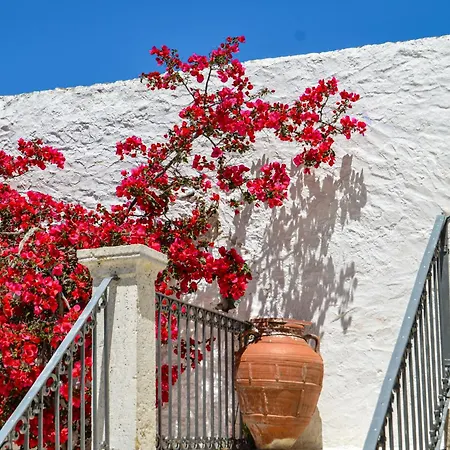 Maison Des Clementines