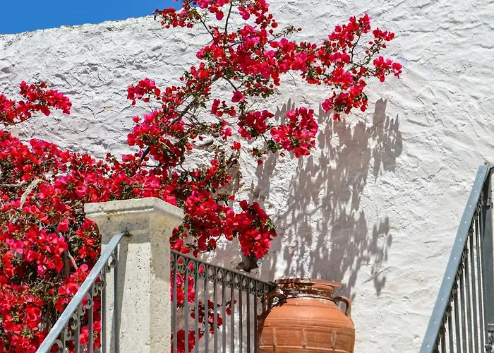 Maison Des Clementines